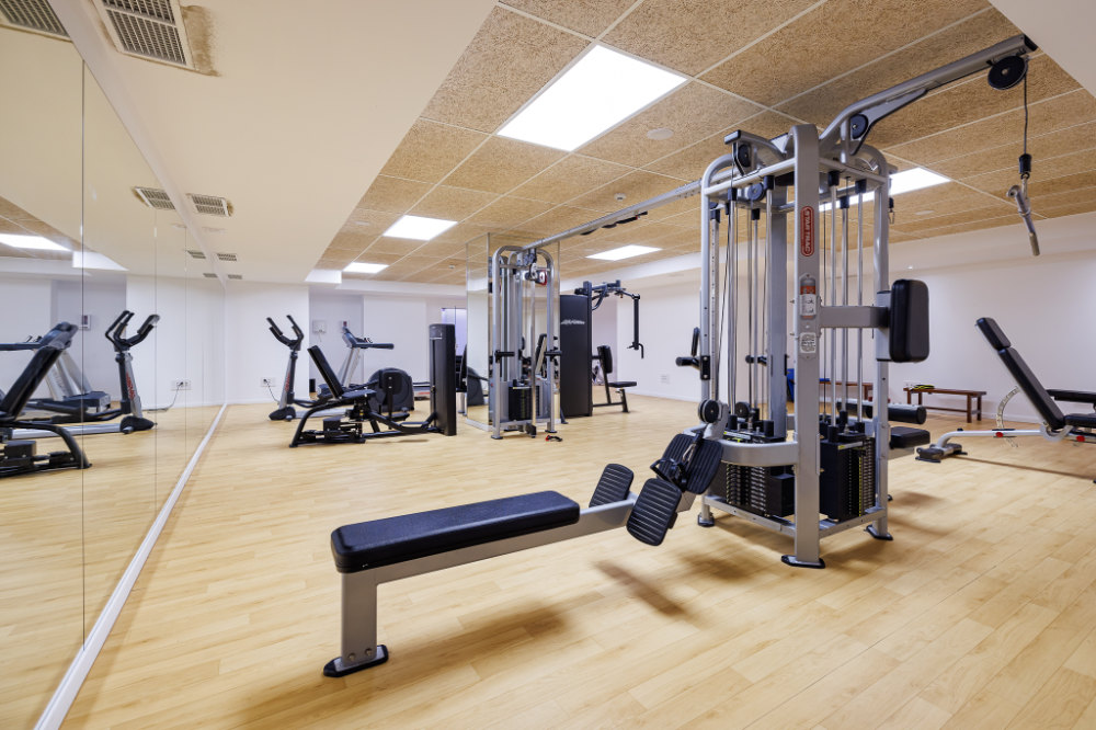 Imagen 3